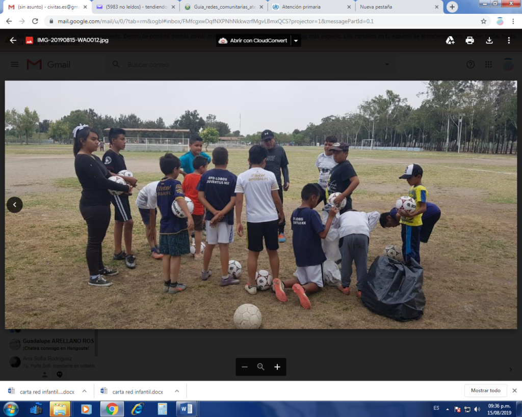 Red RODIN Iniciativas Ciudadanas Solidarias image